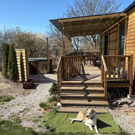 Tiny Beach House Heated And Airconditioned Wapnica  Eksteriør bilde
